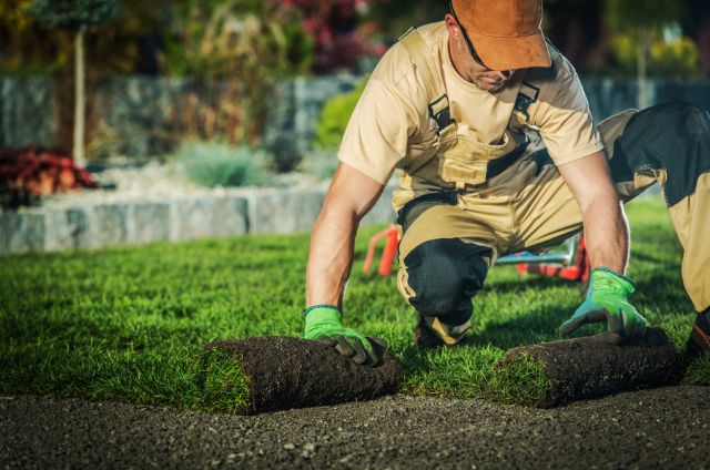 Google Ads campaign dashboard showing performance metrics for landscaping company